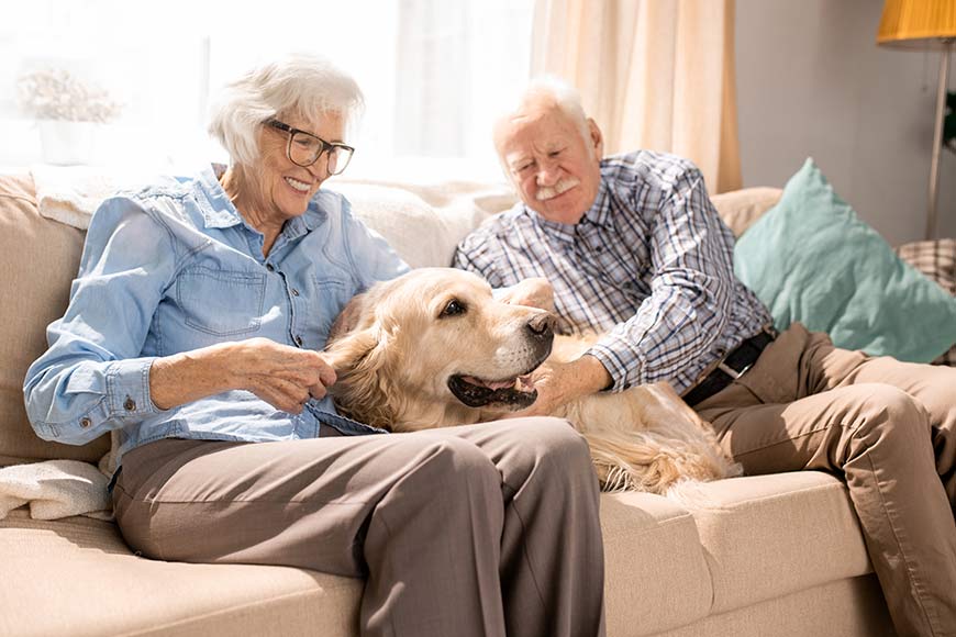 elderly with dog